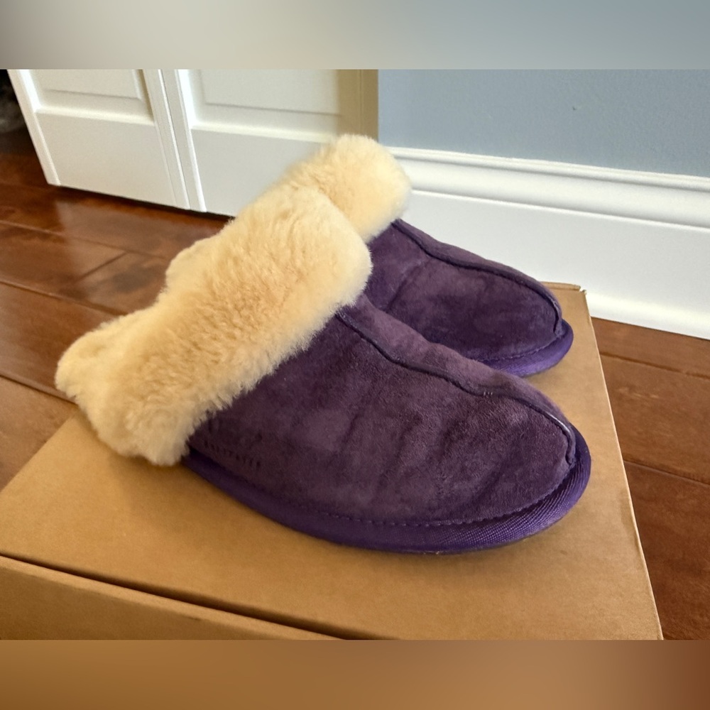 Purple Ugg Slippers